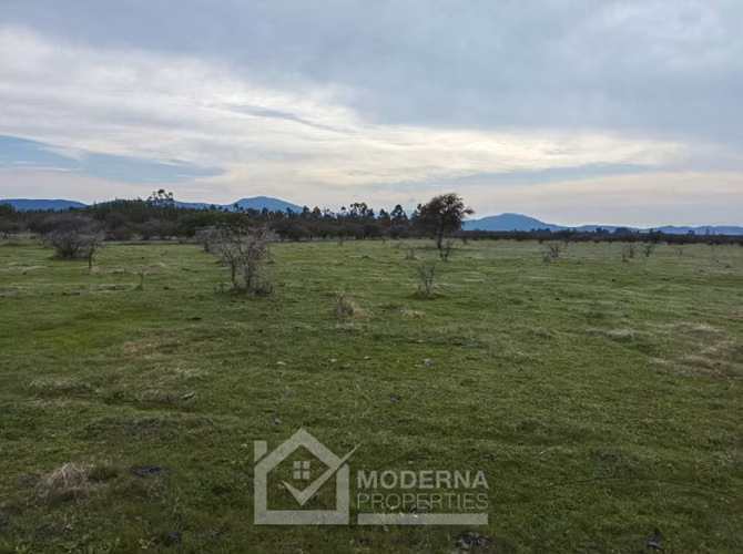 Agrícola en venta en Retiro