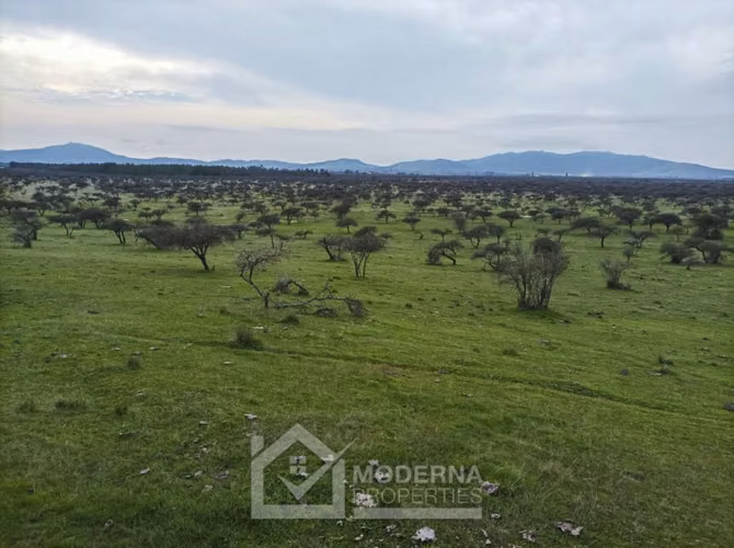 Agrícola en venta en Retiro