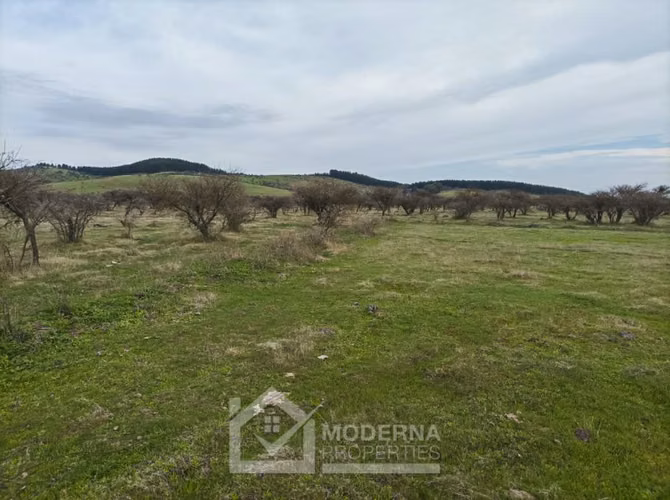 Agrícola en venta en Retiro