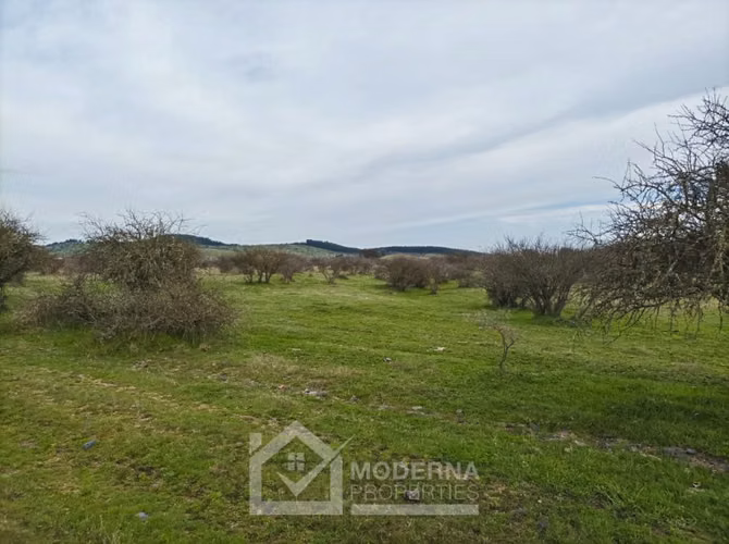 Agrícola en venta en Retiro