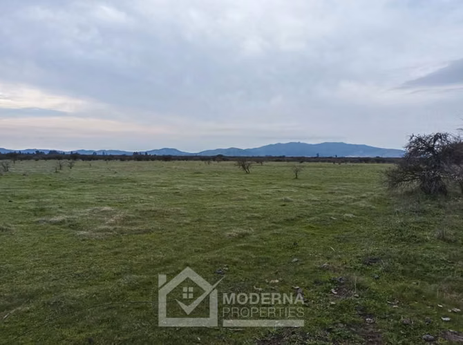 Agrícola en venta en Retiro
