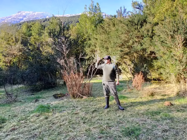Parcela en venta en Cisnes - Imagen 4