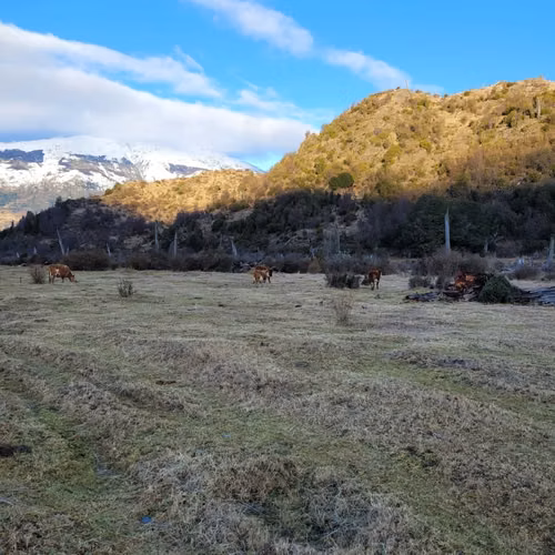Agrícola en venta en Río Ibáñez