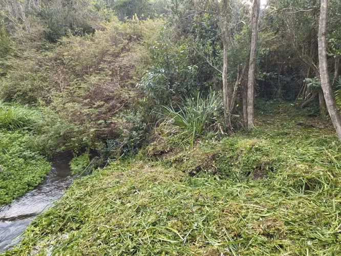 Parcela en venta en Frutillar