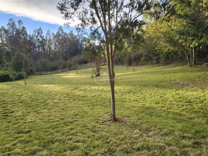 Parcela en venta en Frutillar