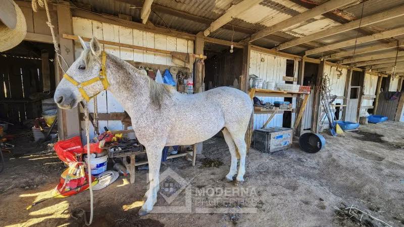 Agrícola en venta en San Rafael