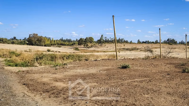 Agrícola en venta en San Rafael