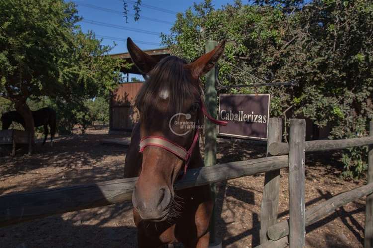 Parcela en venta en Olmué