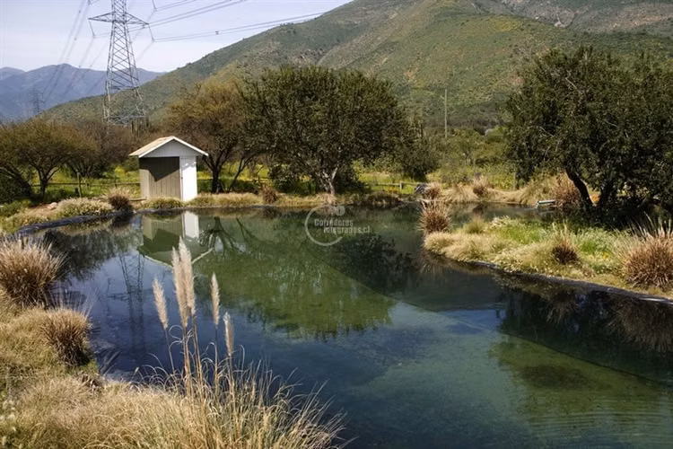Parcela en venta en Olmué - Imagen 6