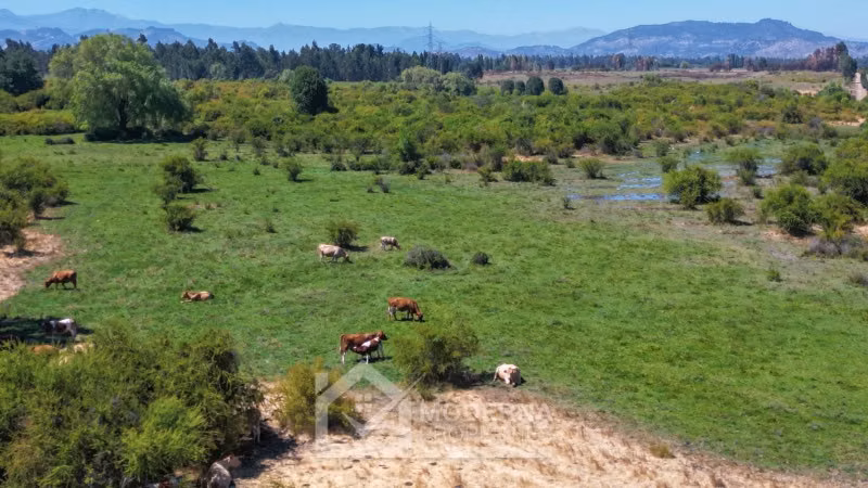 Agrícola en venta en Pelarco
