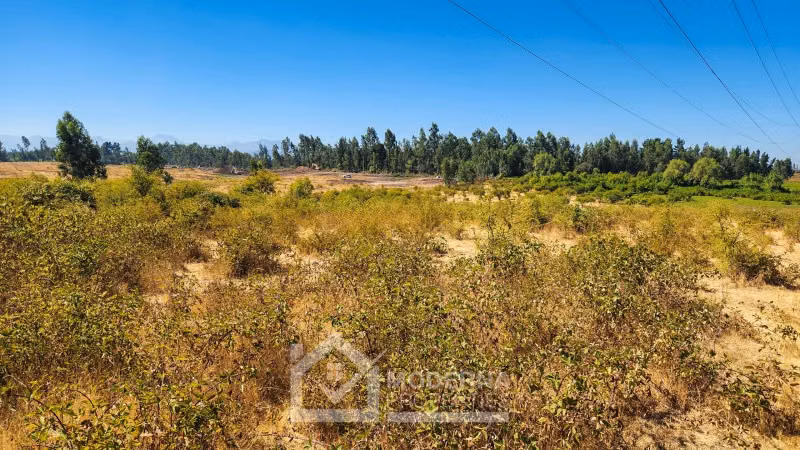 Agrícola en venta en Pelarco