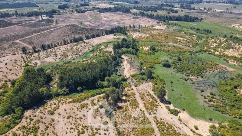Agrícola en venta en Pelarco