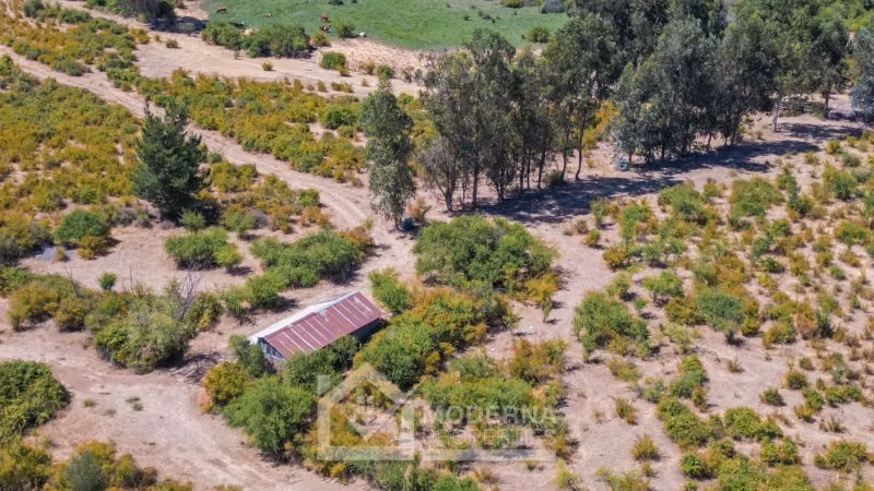 Agrícola en venta en Pelarco