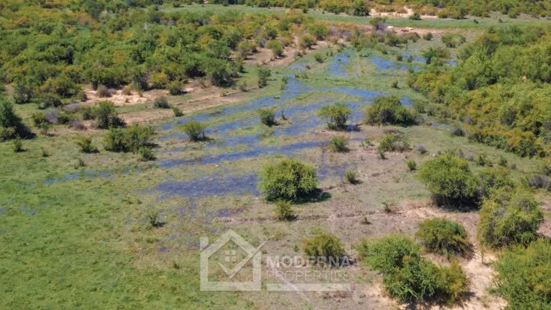 Agrícola en venta en Pelarco