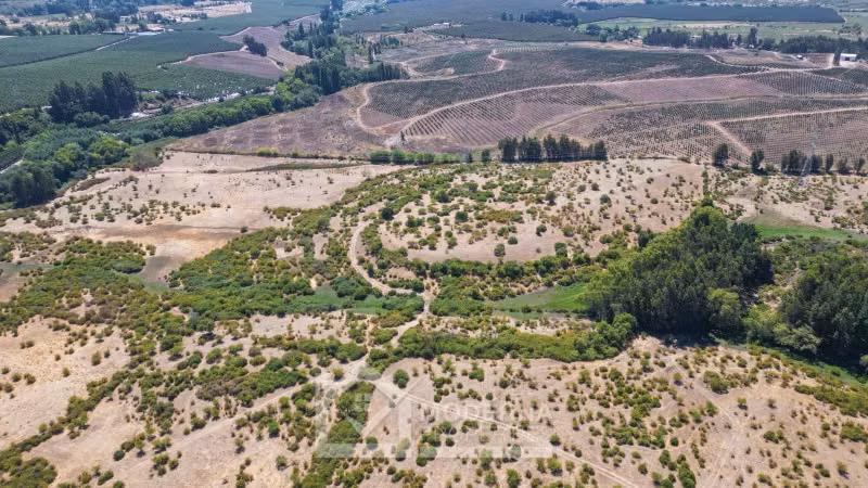 Agrícola en venta en Pelarco