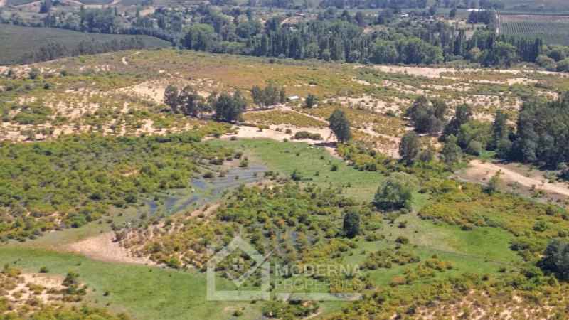 Agrícola en venta en Pelarco