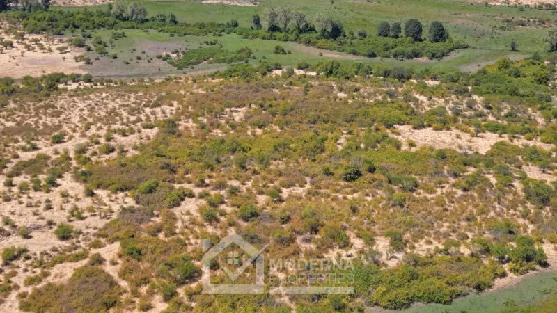 Agrícola en venta en Pelarco