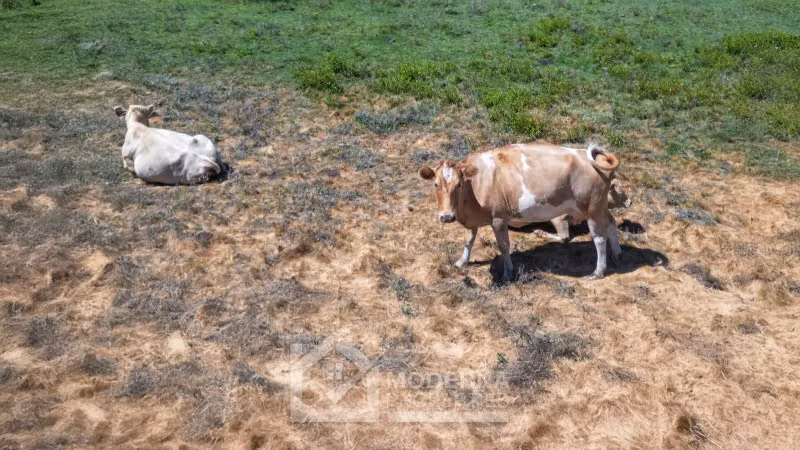 Agrícola en venta en Pelarco