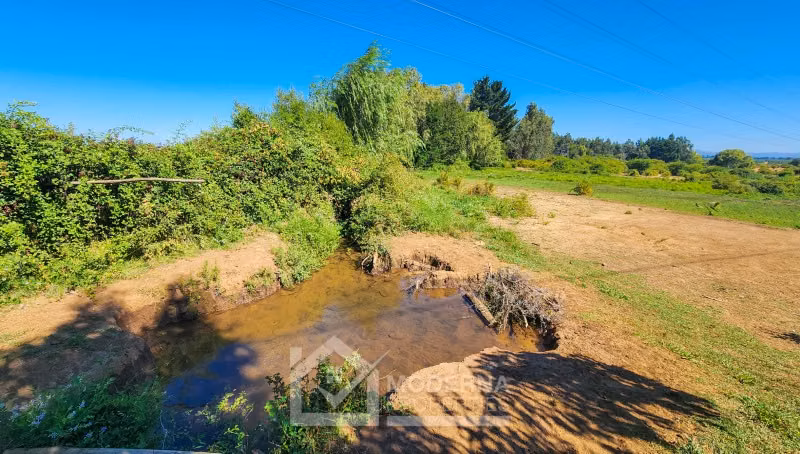 Agrícola en venta en Pelarco