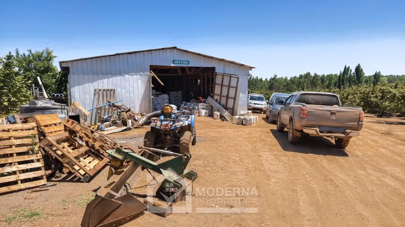 Agrícola en venta en Pelarco