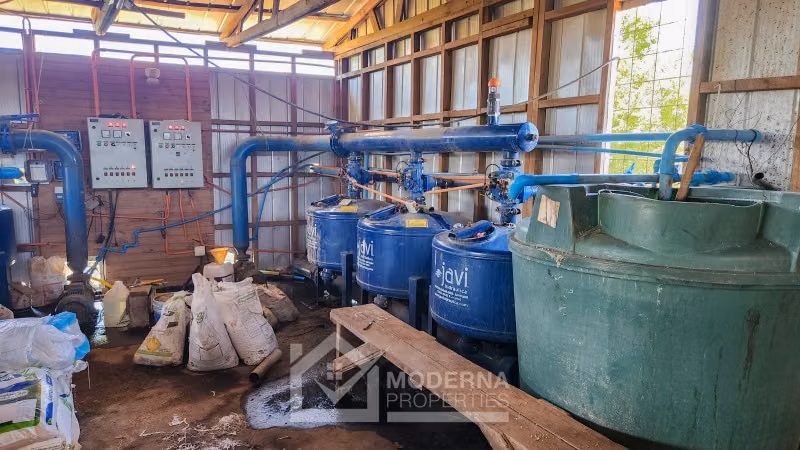 Agrícola en venta en Pelarco