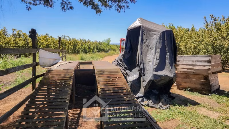 Agrícola en venta en Pelarco