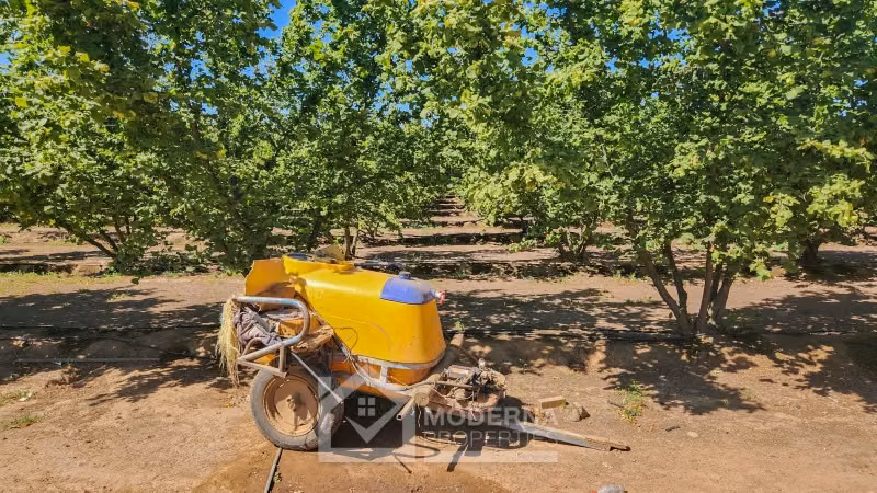 Agrícola en venta en Pelarco