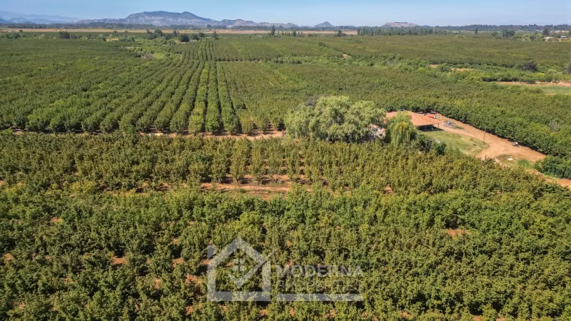 Agrícola en venta en Pelarco
