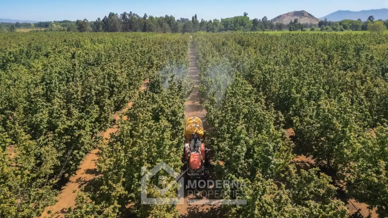 Agrícola en venta en Pelarco