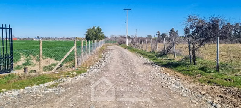 Agrícola en venta en Retiro