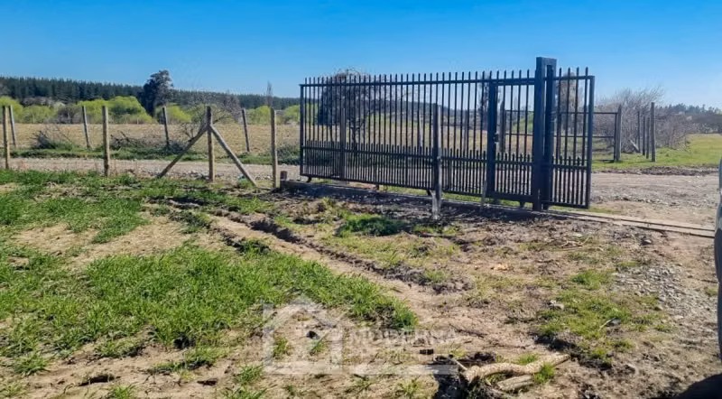 Agrícola en venta en Retiro