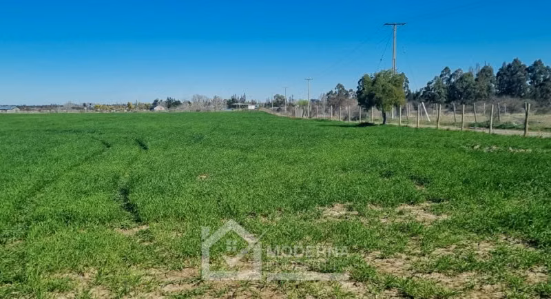 Agrícola en venta en Retiro