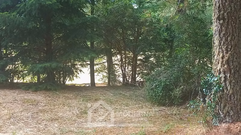 Parcela en venta en Panguipulli - Imagen 13