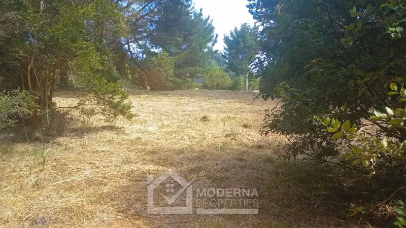 Parcela en venta en Panguipulli - Imagen 12