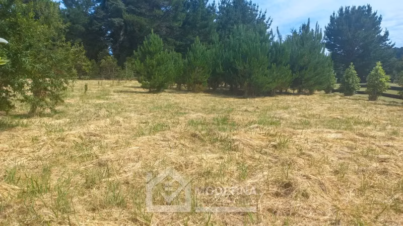 Parcela en venta en Panguipulli - Imagen 9