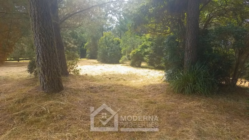 Parcela en venta en Panguipulli - Imagen 14