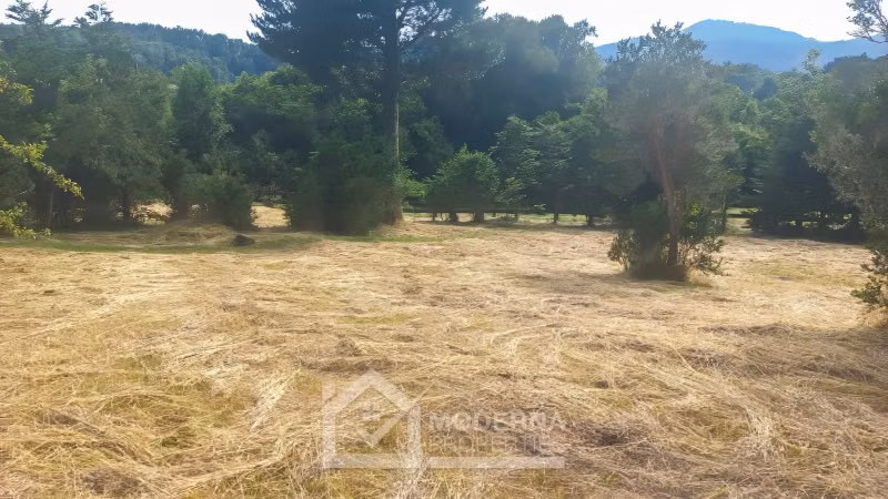 Parcela en venta en Panguipulli - Imagen 16