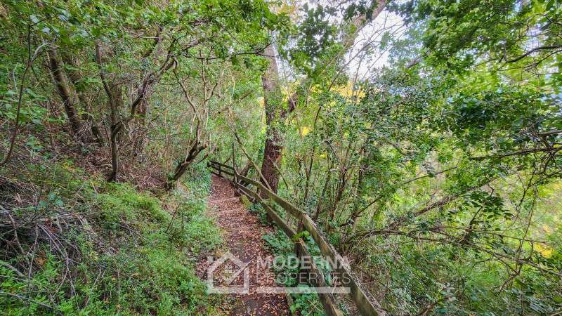 Parcela en venta en Pucón - Imagen 8