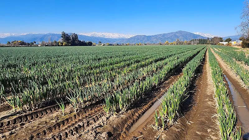 Terreno Construcción  en Venta en Machalí