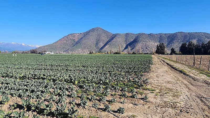Terreno Construcción  en Venta en Machalí