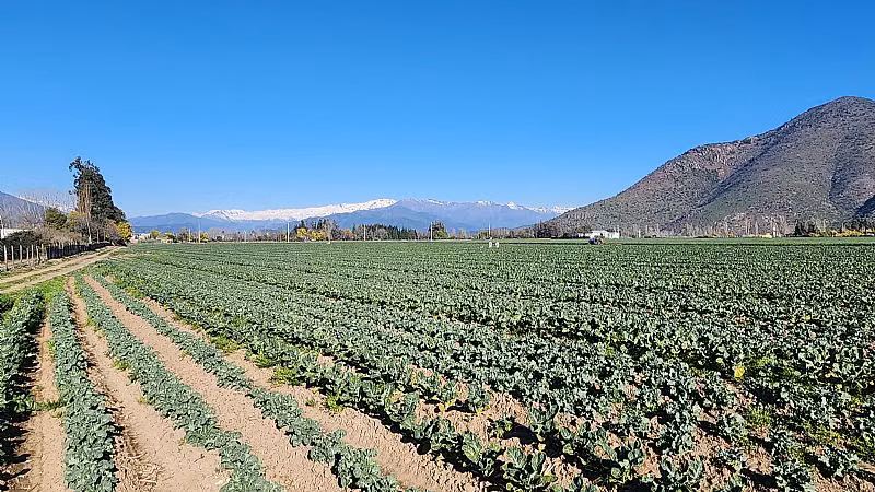 Terreno Construcción  en Venta en Machalí