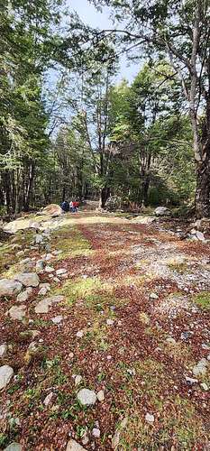 Agrícola en venta en Aysén - Imagen 5