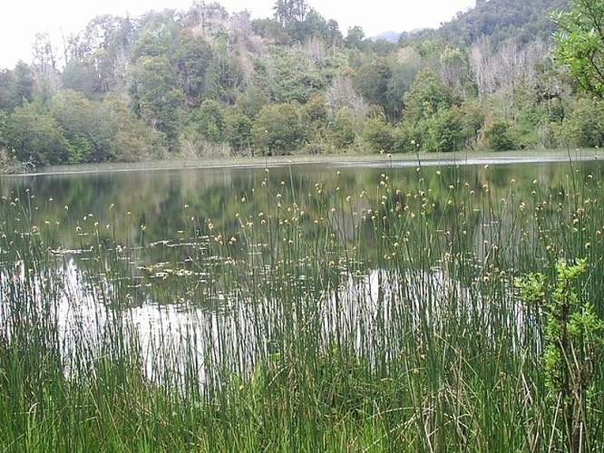 Agrícola en venta en Aysén - Imagen 8