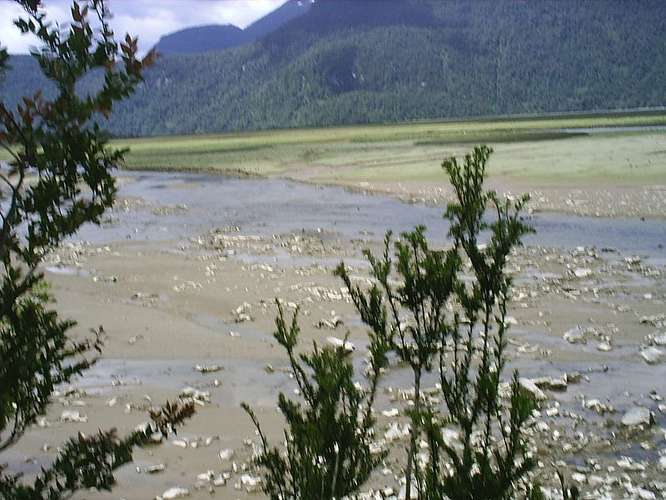 Agrícola en venta en Aysén - Imagen 9