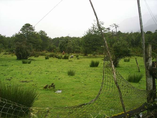 Agrícola en venta en Aysén - Imagen 4