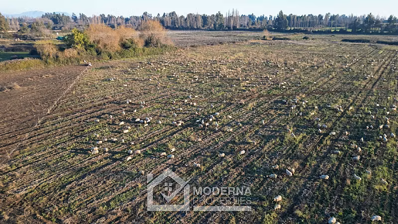 Agrícola en venta en Teno
