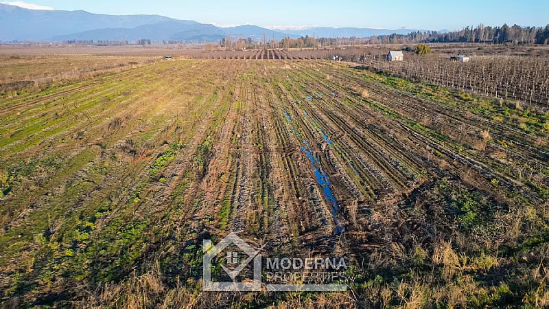 Agrícola en venta en Teno