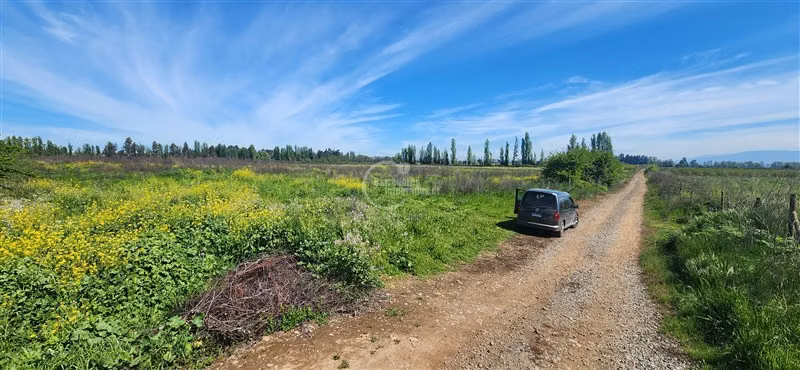 Agrícola en venta en Teno