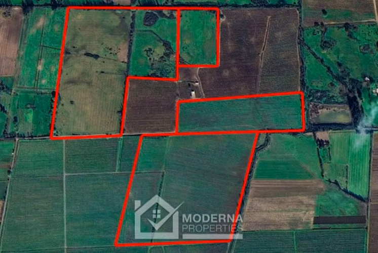 Agrícola en venta en Teno