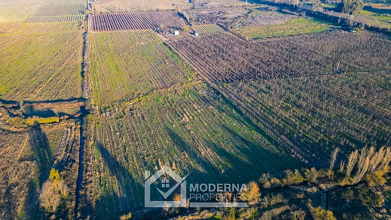 Agrícola en venta en Teno